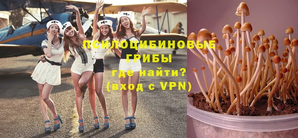 крисы Медногорск