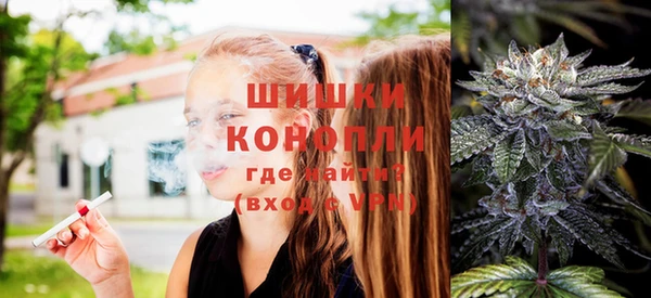 крисы Медногорск