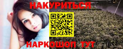 тгк Бийск