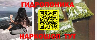 тгк Бийск