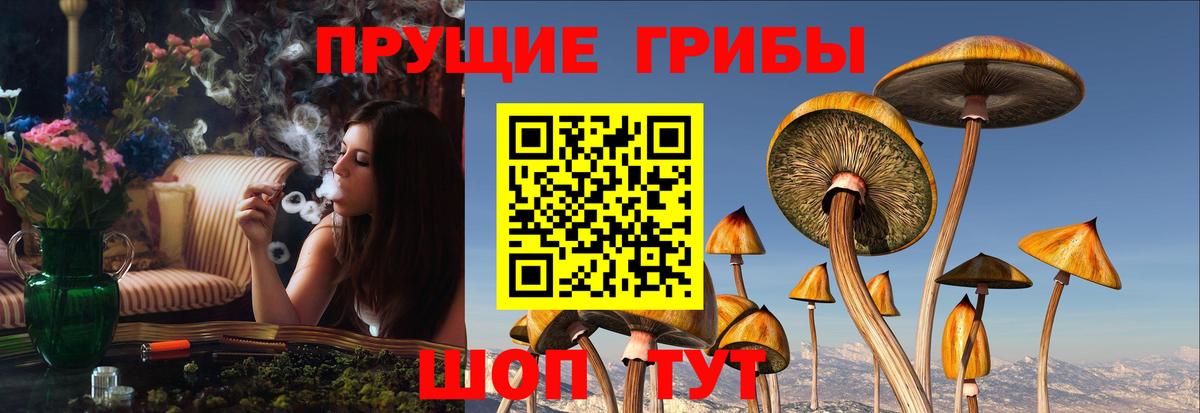 Псилоцибиновые грибы GOLDEN TEACHER Златоуст