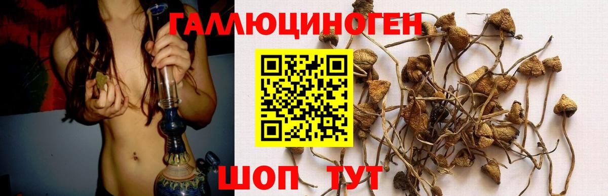Псилоцибиновые грибы Psilocybine cubensis  Вход с VPN  Златоуст  Галлюциногенные грибы Psilocybe 